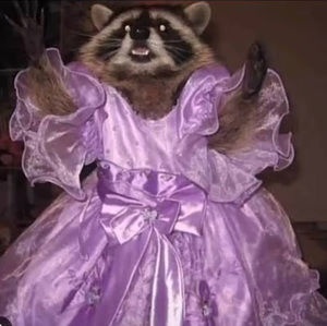 Meet your Posher, Jackie